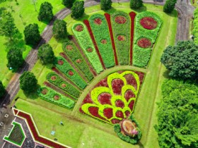 Landscape Design